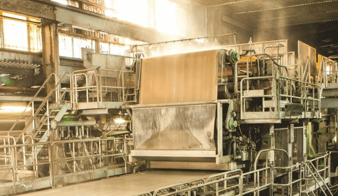 Oji Fibre Solutions Closes Penrose Mill: What It Means for Carton Prices & Sustainability in NZ