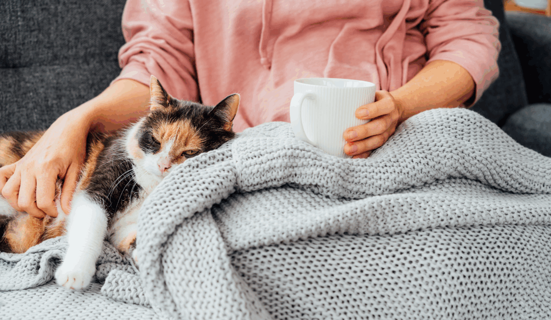 How to Keep Warm This Winter in New Zealand: Smart Home Tips with a Green Twist